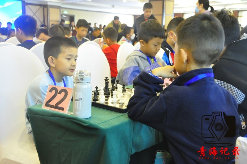 2025青海省青少年国际象棋棋士等级赛：高原智力运动新篇启幕