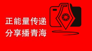 青海记录原创报道获多方权威转发 彰显本土新媒体传播力与影响力